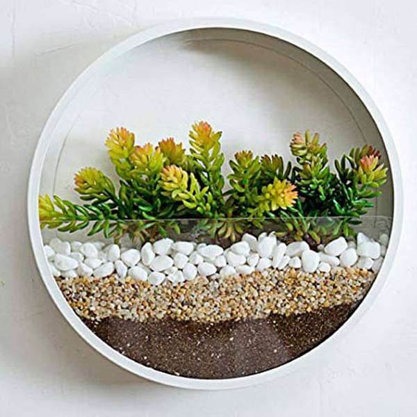 pebbles to beautify wall terrarium 