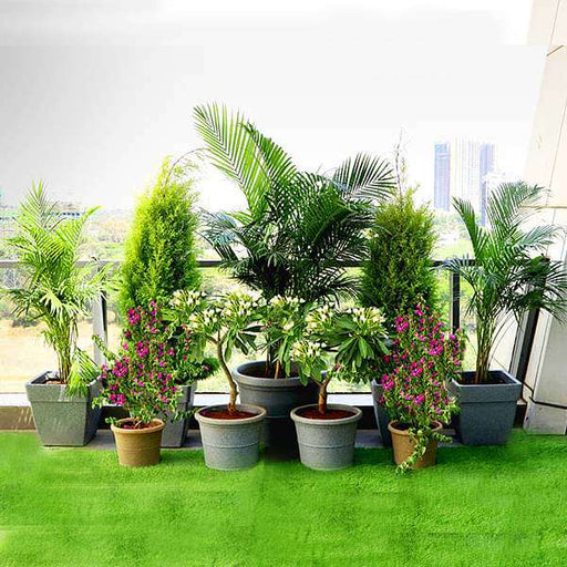 a lush green garden on terrace 