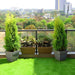 beautify garden at terrace with popular foliage plants 