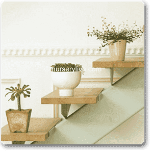 comfortable 3bhk (basic) plant decor pack 