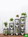 create greenery with houseplants on metal stand in indirect bright light 