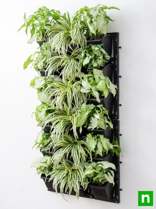 decorate indoor space with green vertical garden at home 