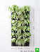 decorate indoor space with green vertical garden at home 