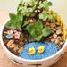 diy pleasant morning - miniature garden