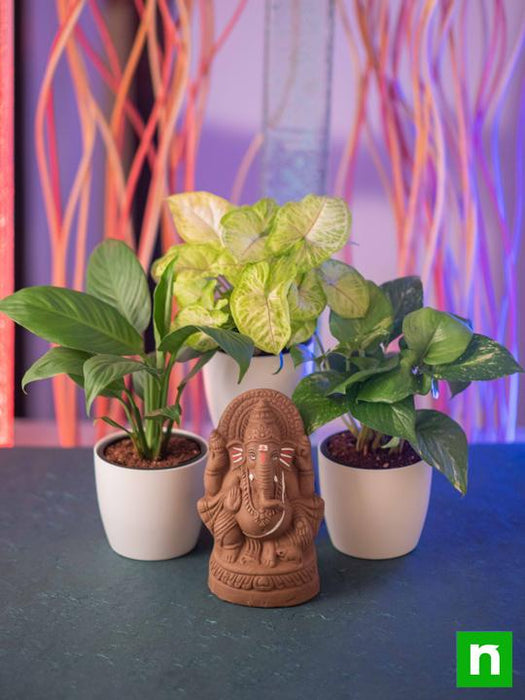 eco friendly clay ganesha with air purifier plants 