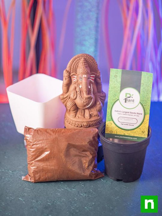 eco friendly clay ganesha with air purifier plants 