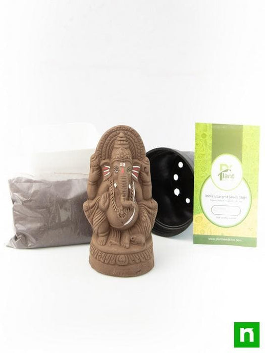 eco friendly clay ganesha with air purifier plants 