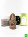 eco friendly clay ganesha with air purifier plants 