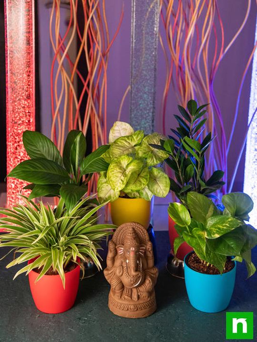 eco - friendly ganesha with oxygen enriching indoor garden