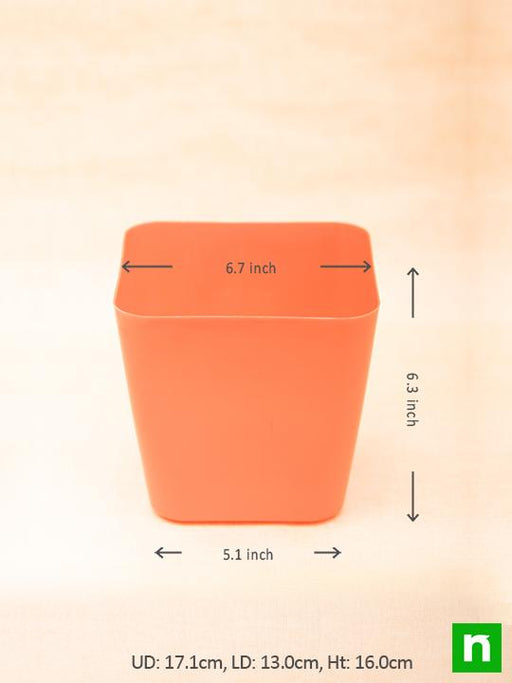 6.7 inch (17 cm) square plastic planter with rounded edges - pack of 5