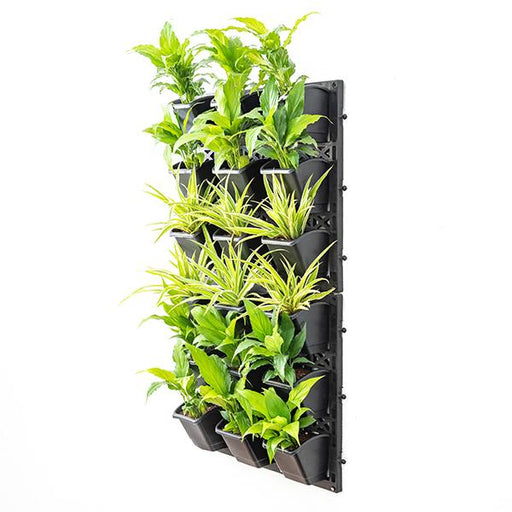 air purifier green wall for indoor space 