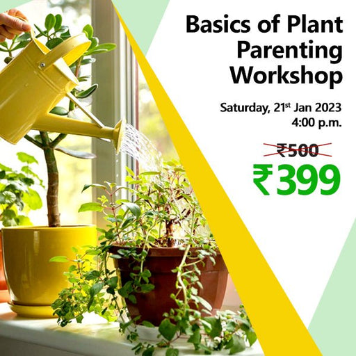 basics of plant parenting - workshop