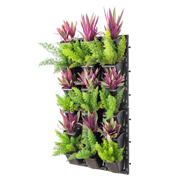 best foliage plants to beautify outdoor vertical garden 