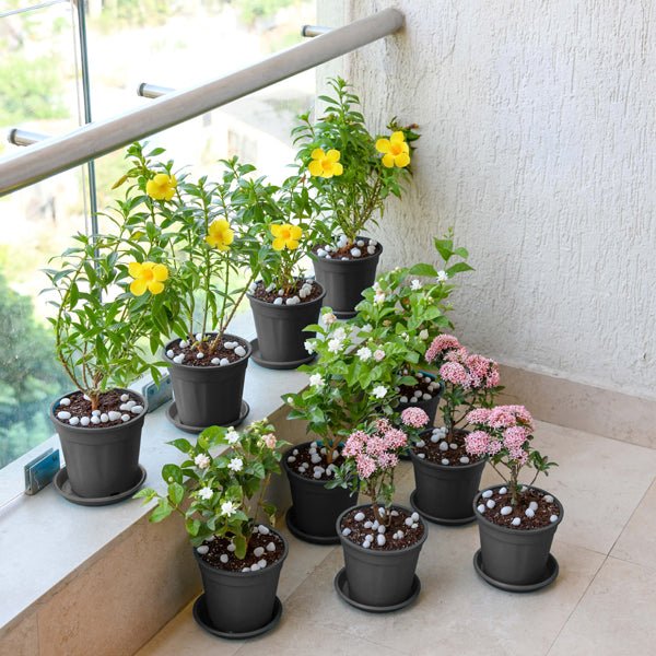 Beautiful Flower Garden in a Balcony