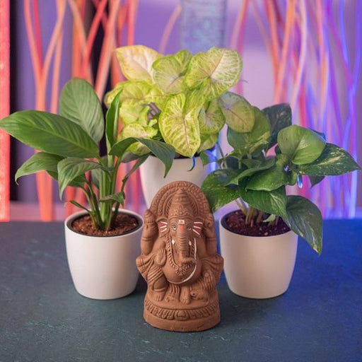 eco friendly clay ganesha with air purifier plants 