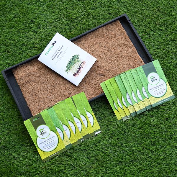 gardening made easy with microgreens tray and grow mats 