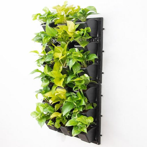 gorgeous living wall to beautify indoor space around you 