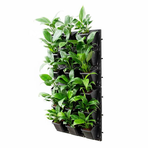 purify air around you with indoor vertical garden 