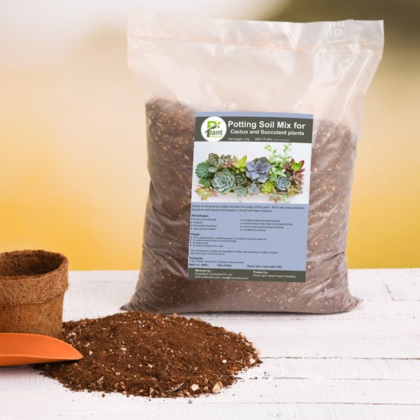 potting soil mix for cactus and succulent plants - 3 kg