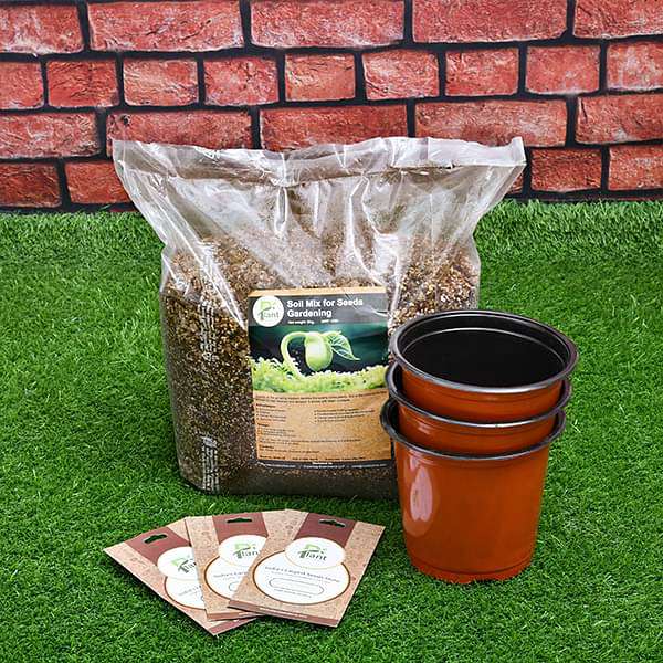 grow flowers through seeds - kids learning garden pack