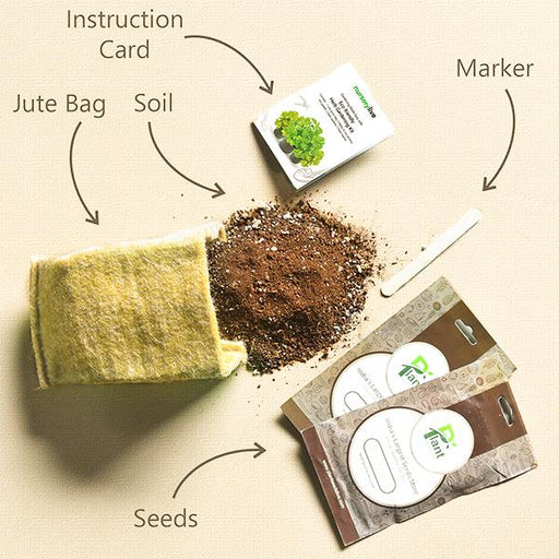 gardening made easy with eco - friendly herb gardening kit