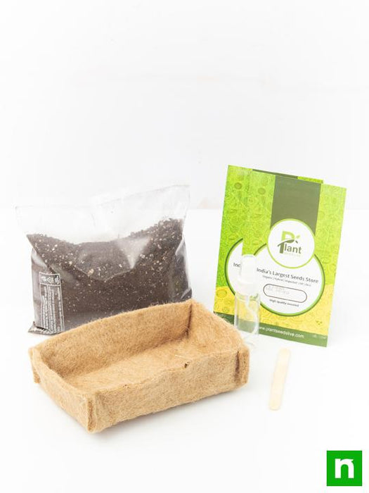 gardening made easy with microgreens grow bag and ready to use soil mix 