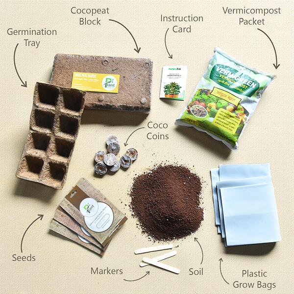 gardening made easy with vegetable gardening kit 