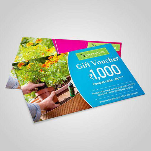 nurserylive e - gift card