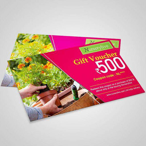 nurserylive gift card - rs 500