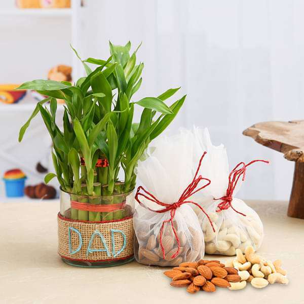 2 layer lucky bamboo with dry fruits for compassionate dad 