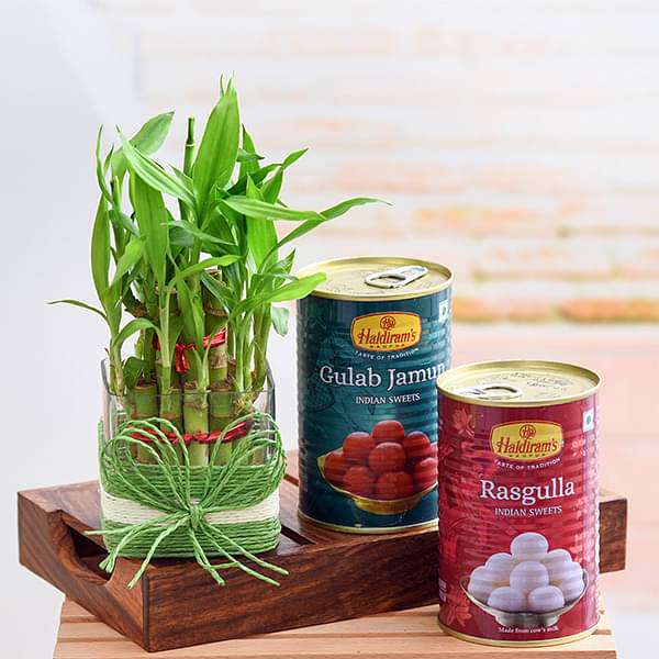 celebrate happiness with 2 layer lucky bamboo and sweets 