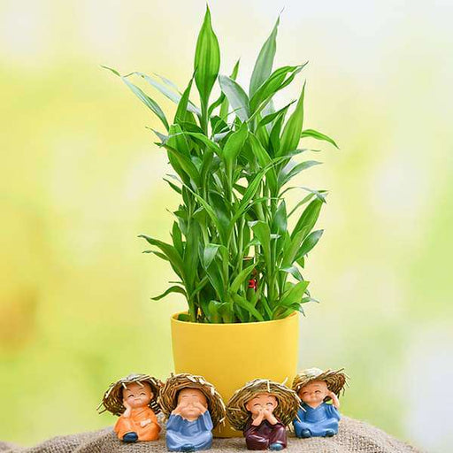 celebrate happiness with 3 layer lucky bamboo and cute monks 