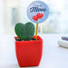 lovely heart plant in plastic pot for lovely mother 