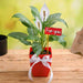 peace lily for you - gift plant