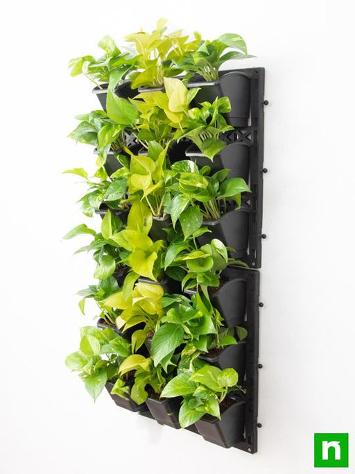 gorgeous living wall to beautify indoor space around you 