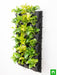 gorgeous living wall to beautify indoor space around you 