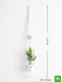 handmade sa003 macrame hanger for plants (pp 