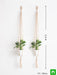 handmade sa007 macrame hanger for plants (sutli 