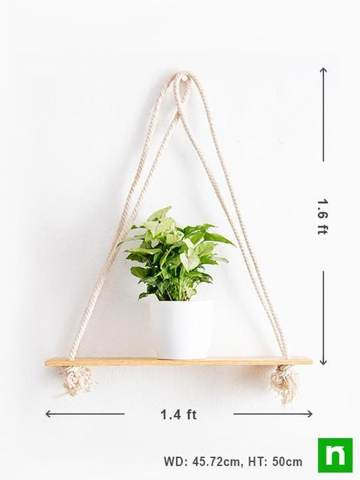 handmade sa008 wooden plank hanger for plants 