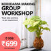 kokedama making - group workshop (set of 15)