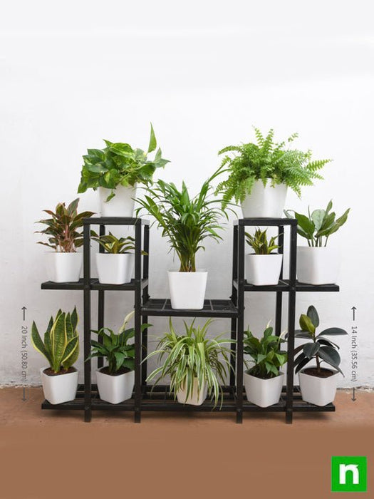 marvelous indoor plants on solid metal stand for indirect light 