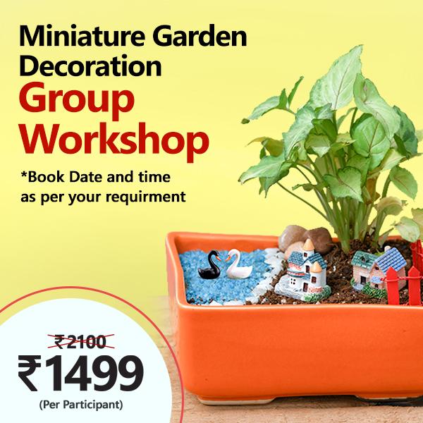 miniature garden decoration - group workshop (set of 10)