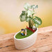 diy feel relaxed in the garden - miniature garden