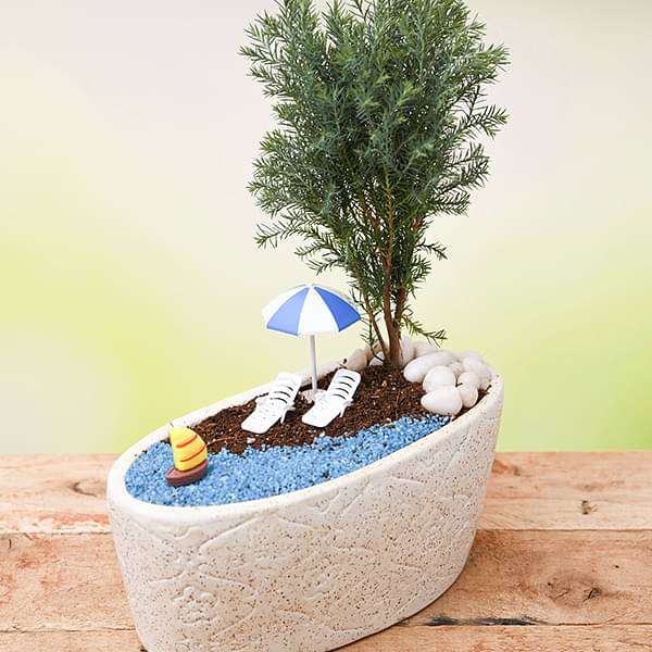 diy holiday on beach - miniature garden