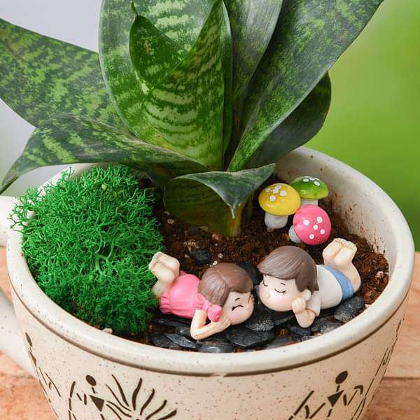 diy joyful moments - miniature garden