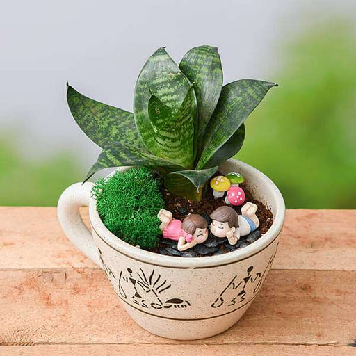 diy joyful moments - miniature garden