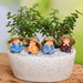 diy monks wishing feng shui good luck - miniature garden