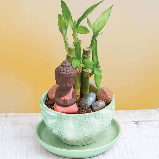 diy peace starts within - miniature garden