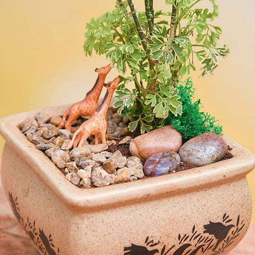 diy wildlife - miniature garden