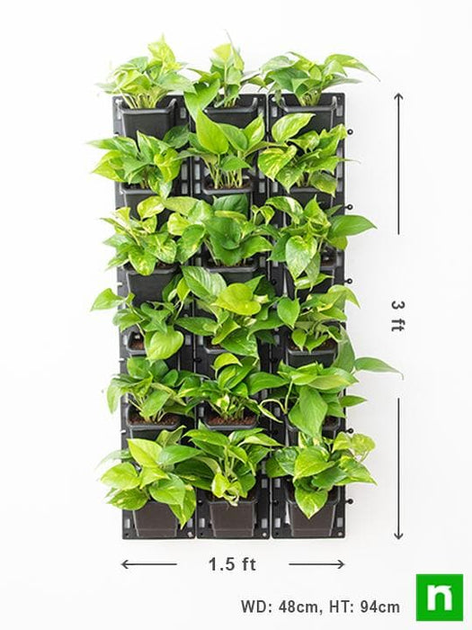 oxygen enriching indoor vertical garden 